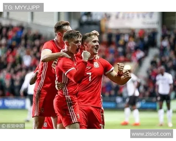 威尔士与斯洛伐克对决前瞻分析及比赛预测全攻略