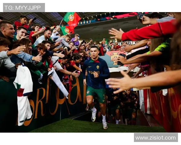 葡萄牙与新西兰足球对决分析及比赛展望